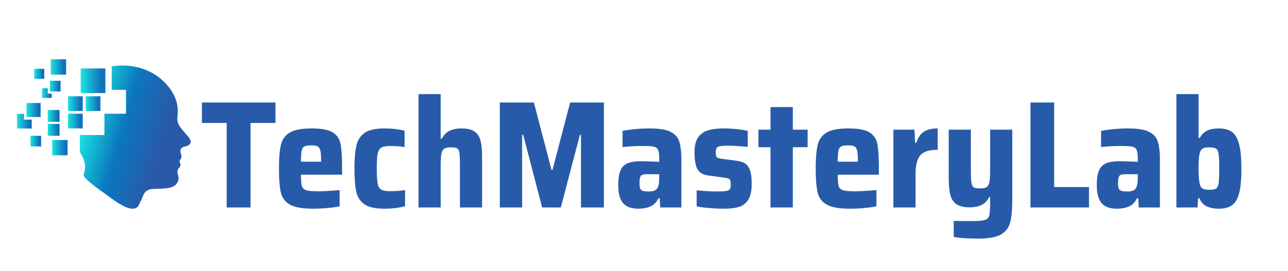 TechMasteryLab - TML